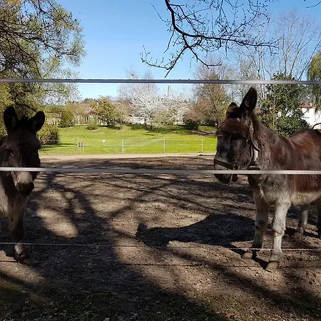 Chambres D'hotes Le Domaine Du Saule Villeneuve-sur-Lot